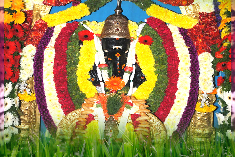 அருகம்புல் மகிமை!